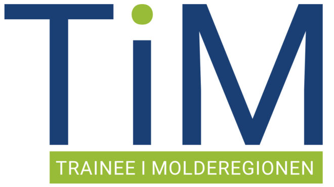 TIM logo RGB 2
