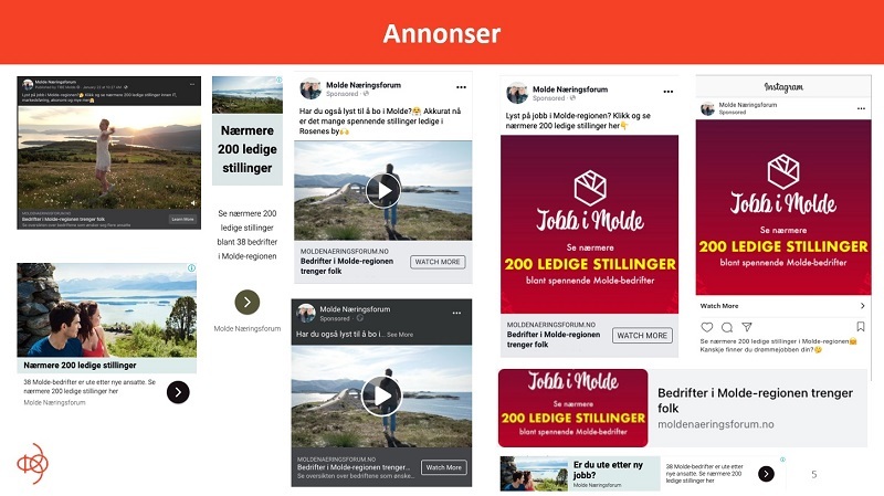 Eksempler på annonser brukt i kampanjen