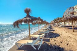Malaga 1642080940 541414 Image Gallery X2